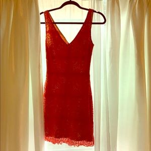 Gorgeous Spring/Summer Lace Dress ♦️